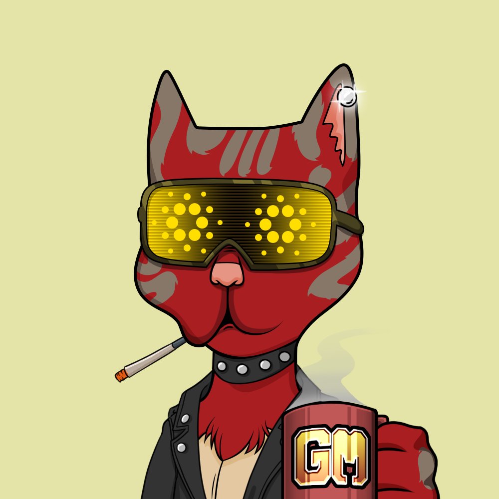 Happy #Caturday <a href="/BossCatRC/">Boss Cat Rocket Club</a> #ADA #xrp #sol #btc