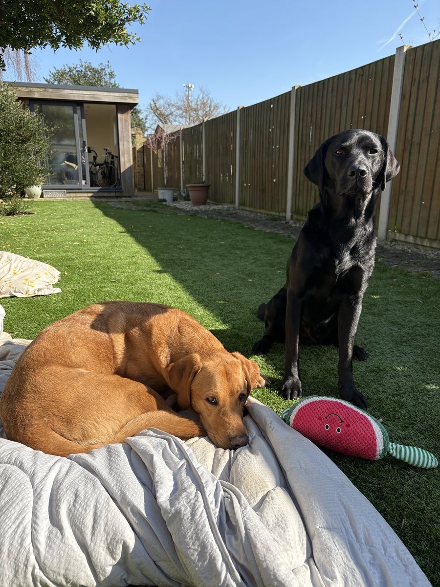 EmilyTaylor27's tweet image. First outdoor duvet day of 2025🤩
