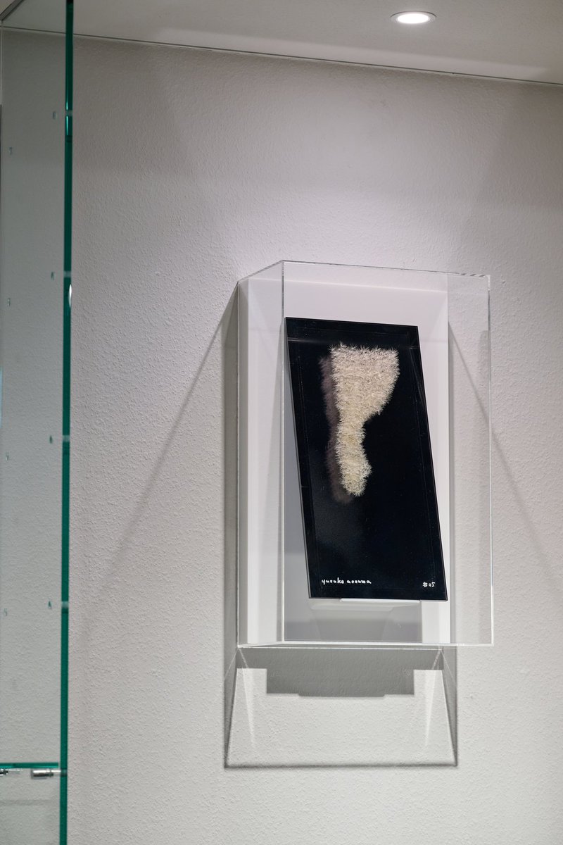 限りなく透明に近い額装を作りました。
この写真、フォトショで映り込みを消しているわけではなくて、本当に映ってないんです。
モスマイトというフィルムを活用して、アクリルケースが99%の光を透過します。
京都蔦屋書店6Fで開催中の私の個展にて、作品と併せて展示中です。