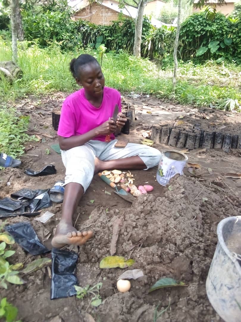 YPARD RDC (@ypard_rdc) on Twitter photo <a href="/francediplo/">France Diplomatie 🇫🇷🇪🇺</a> Grâce au FSOF/<a href="/AFD_France/">Agence Française de #Développement (AFD) 🇫🇷 🇪🇺</a> , <a href="/ypard_rdc/">YPARD RDC</a> a reçu 80.000$ pour réaliser le projet d'appui à l'éducation et autonomisation économique des filles à Kinshasa et Kasangulu dans le cadre du Consortium IGNITE avec #UAF_Africa. <a href="/muindaantoinet1/">muinda antoinette</a> <a href="/francediplo/">France Diplomatie 🇫🇷🇪🇺</a> Grâce au FSOF/<a href="/AFD_France/">Agence Française de #Développement (AFD) 🇫🇷 🇪🇺</a> , <a href="/ypard_rdc/">YPARD RDC</a> a reçu 80.000$ pour réaliser le projet d'appui à l'éducation et autonomisation économique des filles à Kinshasa et Kasangulu dans le cadre du Consortium IGNITE avec #UAF_Africa. <a href="/muindaantoinet1/">muinda antoinette</a>