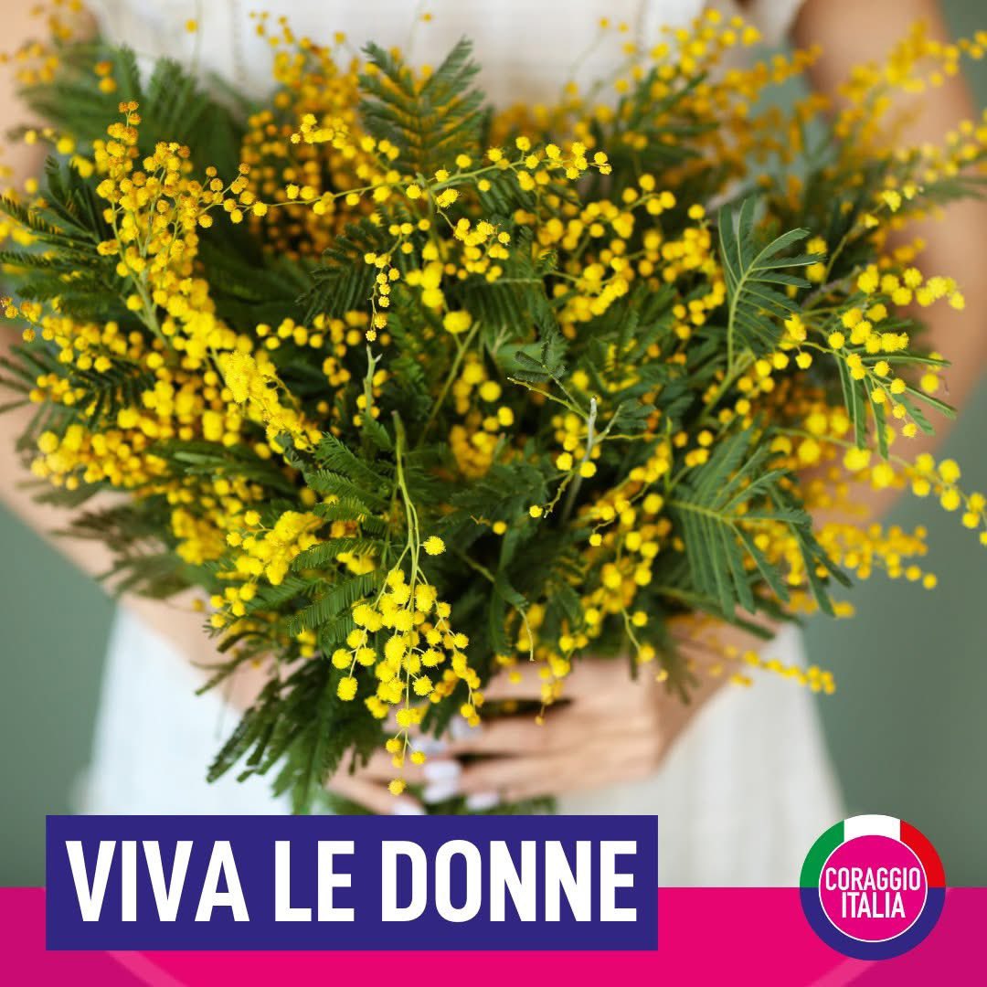 #8marzo 🟡 #festadelladonna
Auguri a tutte le donne, ogni giorno, sempre, forti e coraggiose!