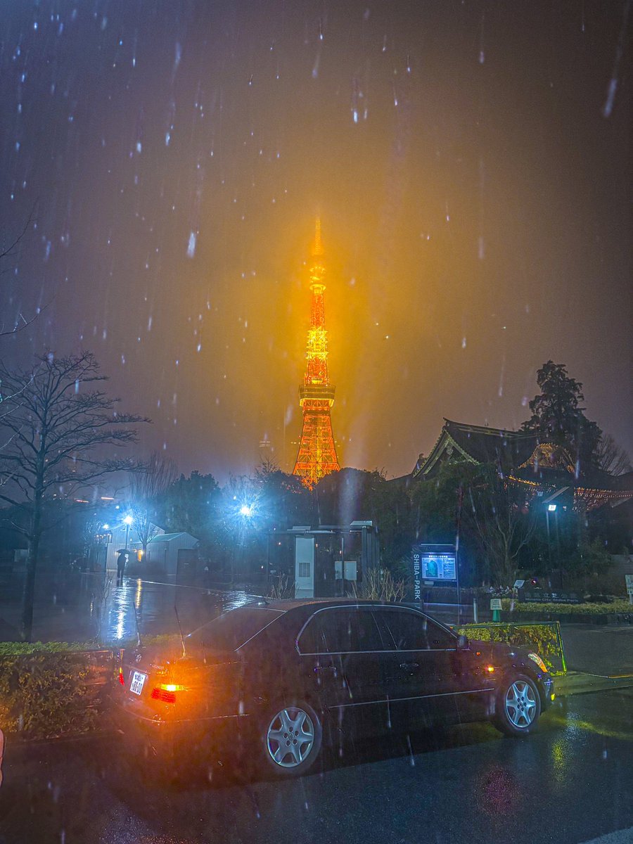 めっさ雪です☃️