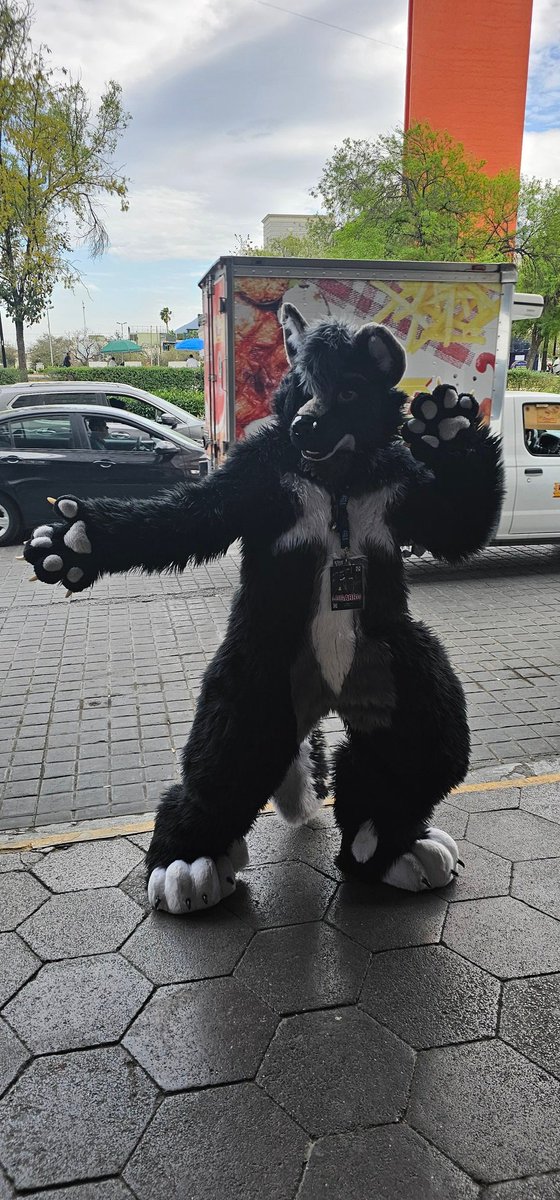 Lugarru Black EXPOFUR tweet media