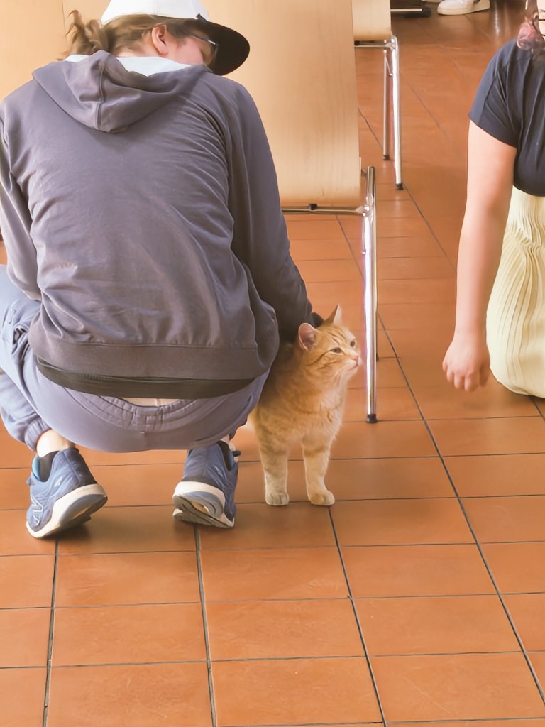 Munich Fight Night tweet media