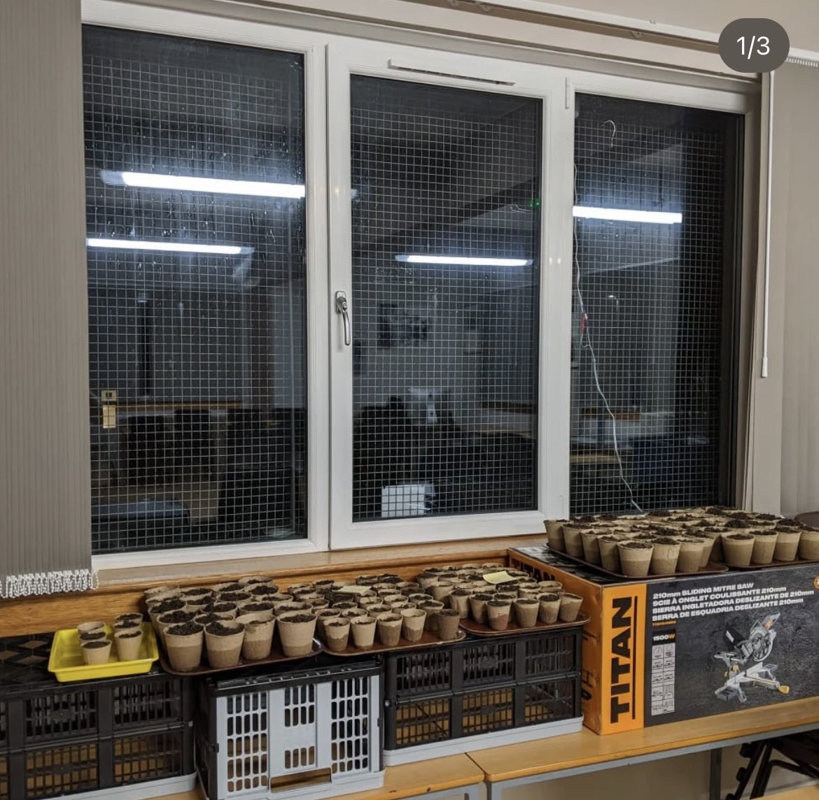 Our Scouts have also been busy starting planting for an exciting new project. All our sections are going to work together to build and plant raised beds in our grounds. <a href="/enescouts/">Edinburgh NE Scouts</a> <a href="/sesscouts/">South East Scotland Scouts</a> <a href="/ScoutsScotland/">Scouts Scotland</a>