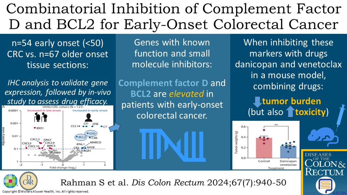 DCRjournal (@dcrjournal) on Twitter photo #DCRJournal visual abstract recap | Combinatorial Inhibition of Complement Factor D and BCL2 for Early-Onset Colorectal Cancer: bit.ly/4bXOvlt
<a href="/SeanLangenfeld/">Sean Langenfeld</a> <a href="/MarkSoliman/">Mark Soliman, MD, MBA</a> <a href="/rahila_essani/">Rahila Essani MD FACS FASCRS</a> <a href="/JohnRTMonsonMD/">John Monson MD FRCS FACS FASCRS</a> <a href="/RomiNavaratnam/">Mr Romi Navaratnam</a> <a href="/dr_samehhany81/">Sameh Emile, MD, FACS</a> <a href="/DrE_UCSD/">Samuel Eisenstein</a> @jabelsonmd <a href="/EKing719/">“Get Screened” King-Mullins, MD</a> #DCRJournal visual abstract recap | Combinatorial Inhibition of Complement Factor D and BCL2 for Early-Onset Colorectal Cancer: bit.ly/4bXOvlt
<a href="/SeanLangenfeld/">Sean Langenfeld</a> <a href="/MarkSoliman/">Mark Soliman, MD, MBA</a> <a href="/rahila_essani/">Rahila Essani MD FACS FASCRS</a> <a href="/JohnRTMonsonMD/">John Monson MD FRCS FACS FASCRS</a> <a href="/RomiNavaratnam/">Mr Romi Navaratnam</a> <a href="/dr_samehhany81/">Sameh Emile, MD, FACS</a> <a href="/DrE_UCSD/">Samuel Eisenstein</a> @jabelsonmd <a href="/EKing719/">“Get Screened” King-Mullins, MD</a>