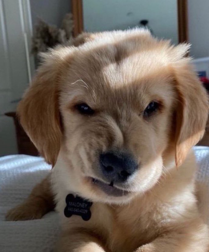 ฮิล tweet media