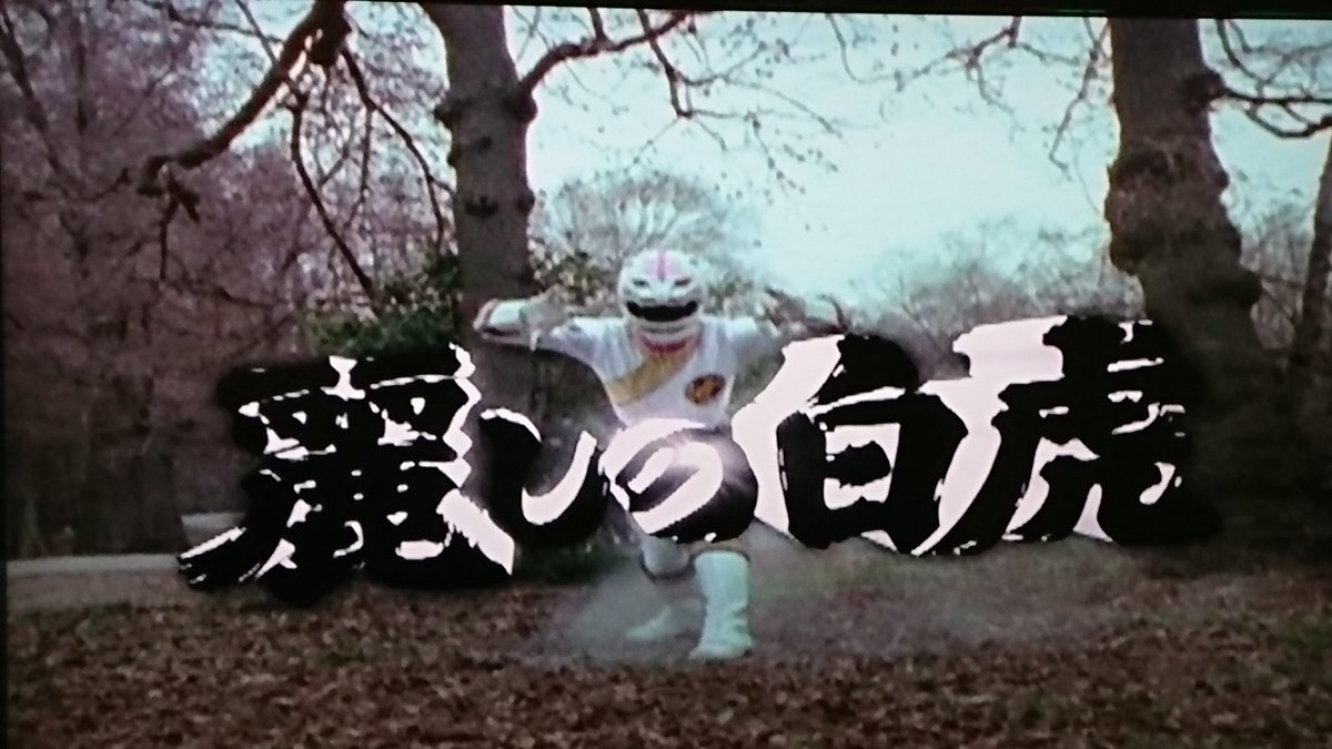 竹内実生 さんお誕生日おめでとうございます！🎂🐯 #百獣戦隊