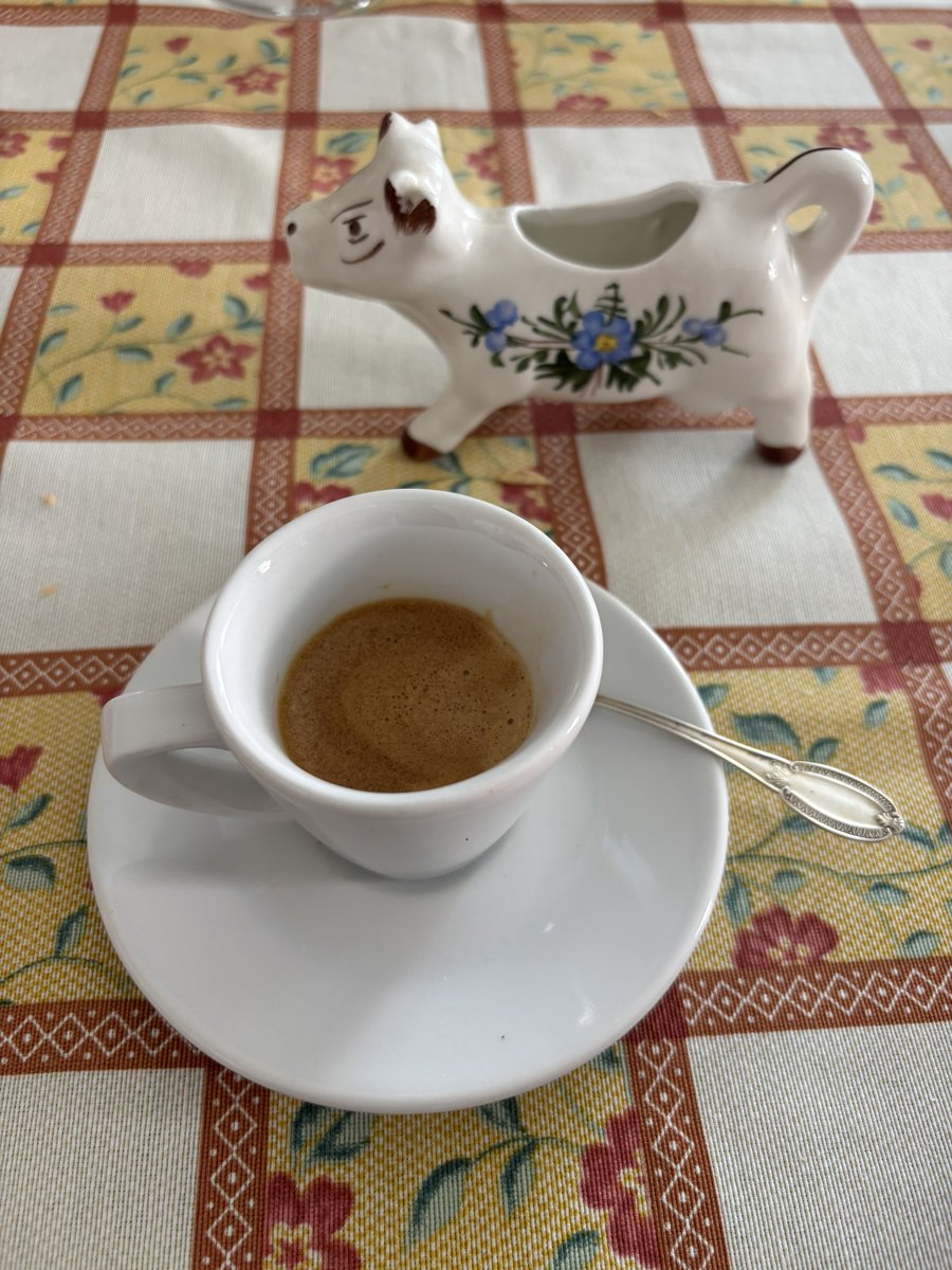 pondgitsune's tweet photo. Mia nonna ha cacciato la mucca di porcellana per farmi fare il caffè macchiato https://t.co/nMWhnsWffD