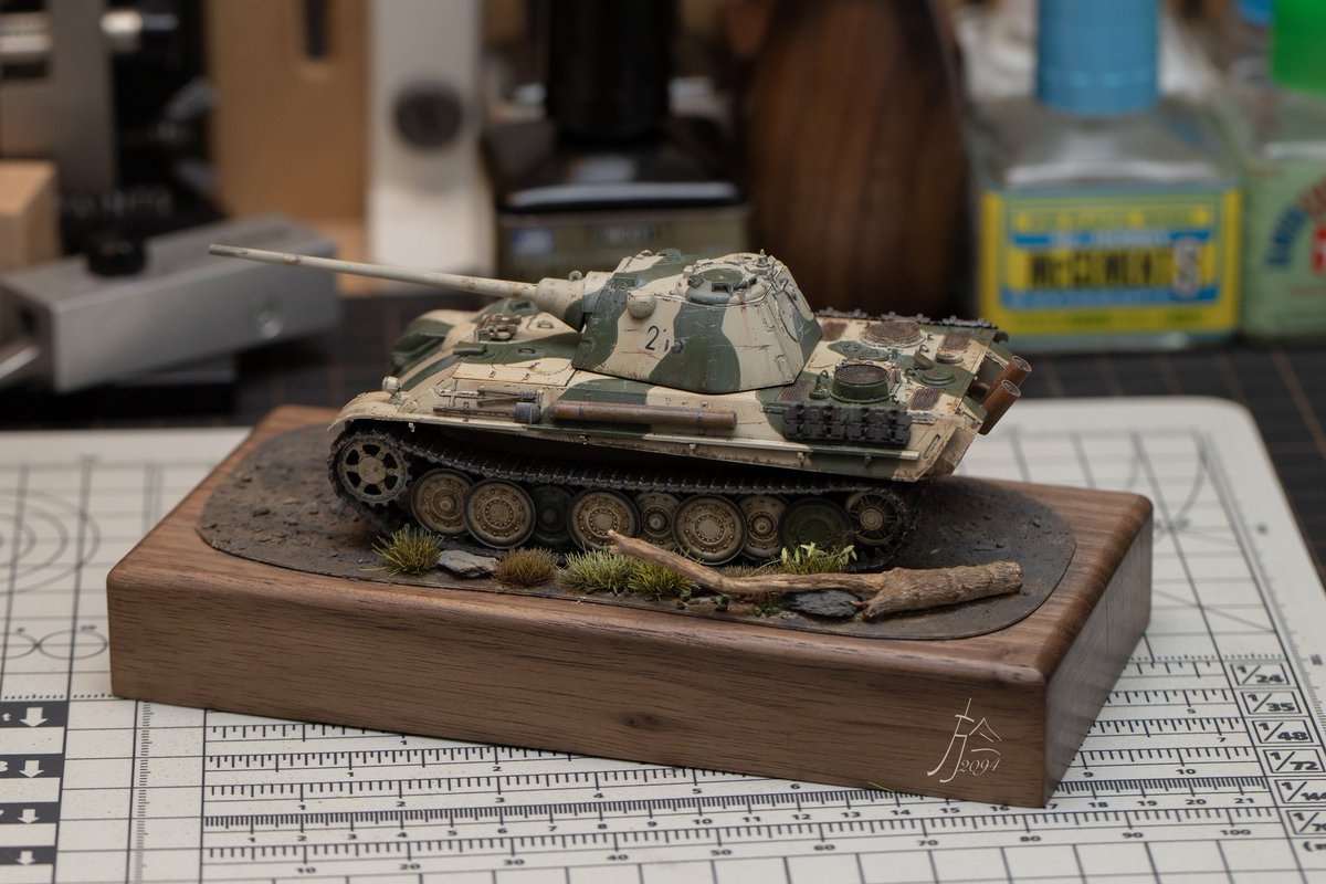 1/72 PANTHER