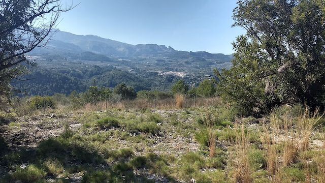 TrailExplorer tweet media