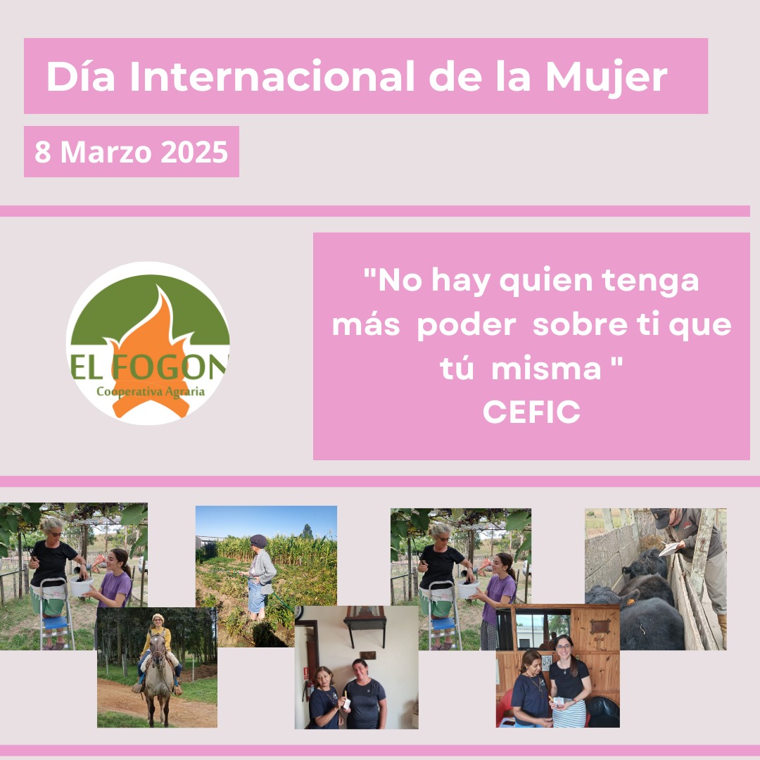 #DiaInternacionalDeLaMujer