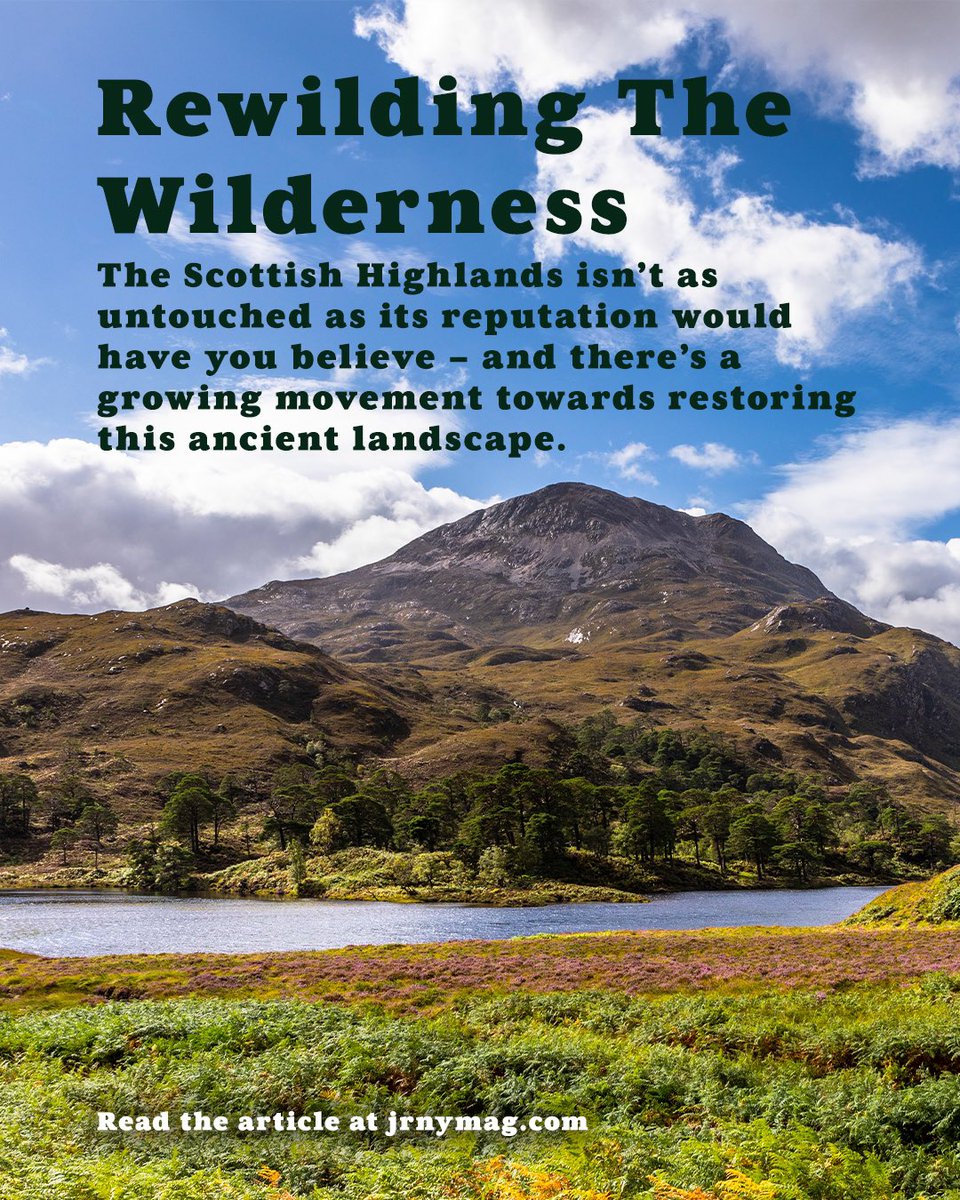 JRNYmag (@jrnymag) on Twitter photo New article online: Rewilding The Wilderness by Emma Gibbs
jrnymag.com/scotland-rewil…
<a href="/VisitScotland/">VisitScotland</a> New article online: Rewilding The Wilderness by Emma Gibbs
jrnymag.com/scotland-rewil…
<a href="/VisitScotland/">VisitScotland</a>