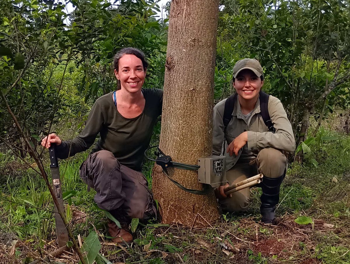 Insti.Nac.Yerba Mate 🇦🇷 tweet media