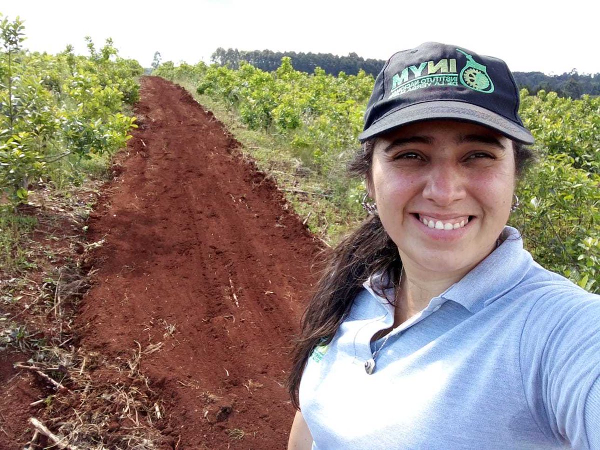 Insti.Nac.Yerba Mate 🇦🇷 tweet media