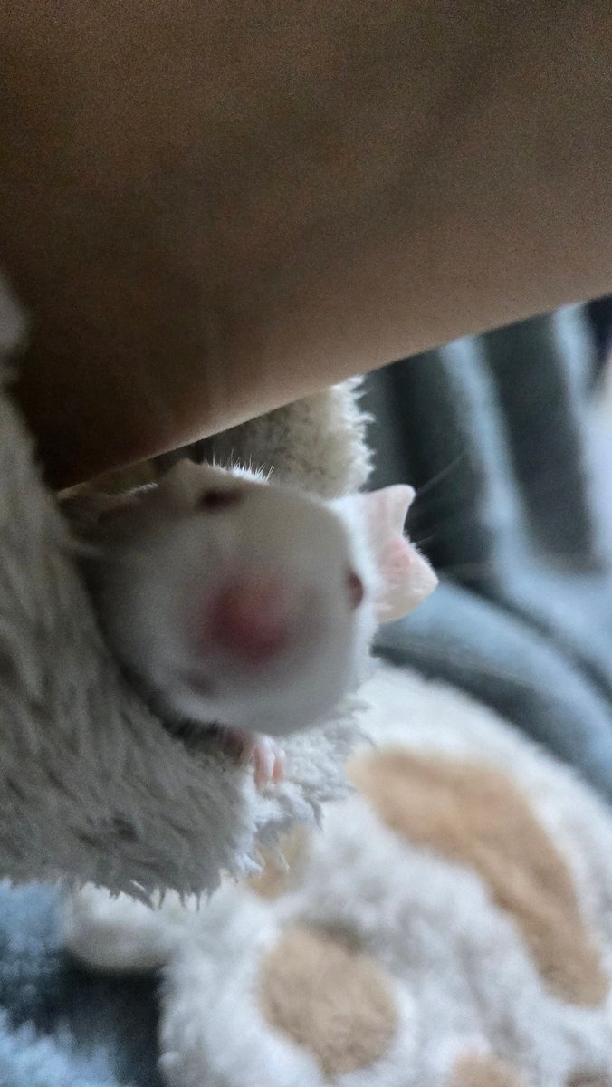 쮜 (@jjjj_seori) on Twitter photo 