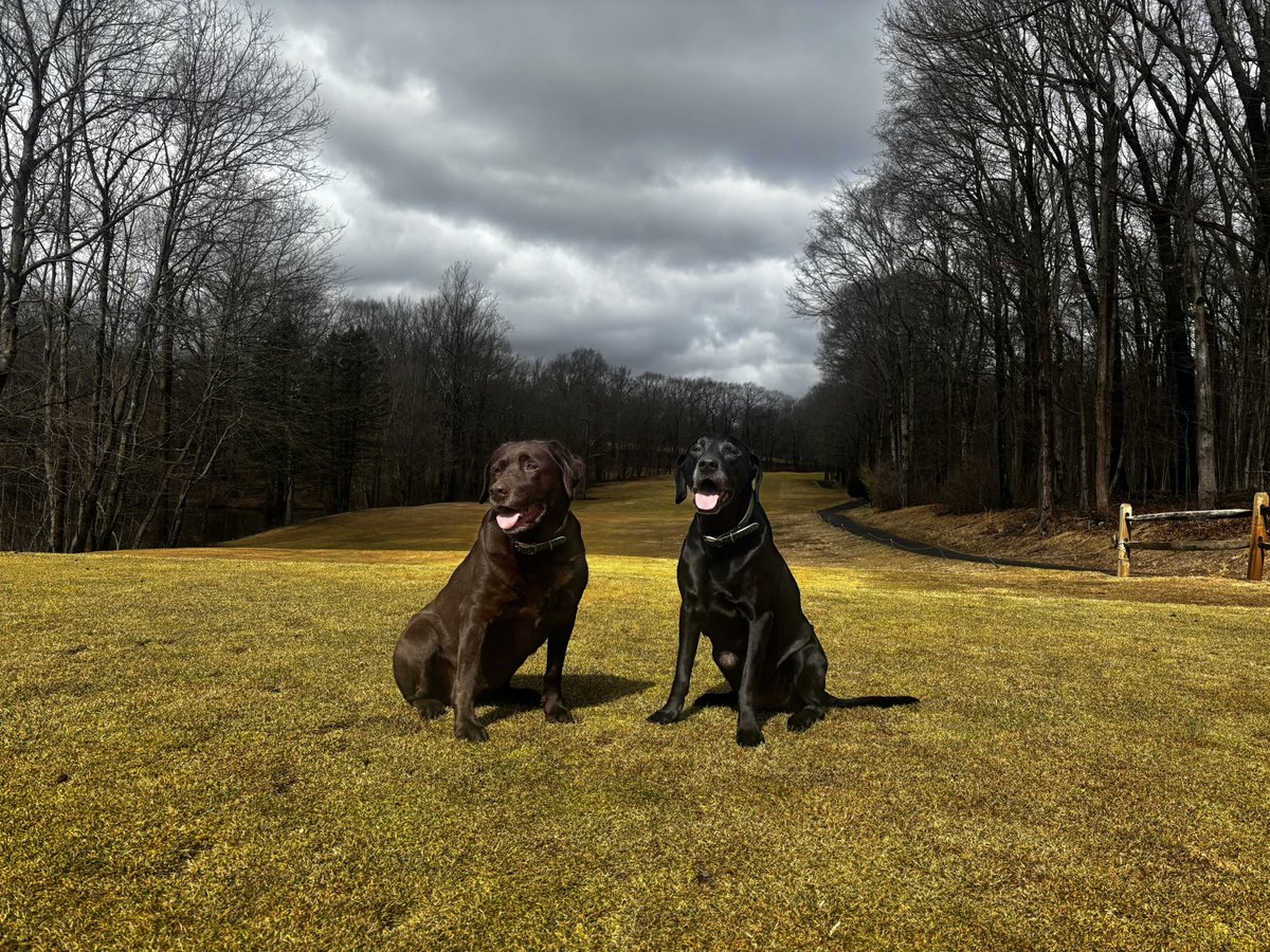 deadphish28's tweet photo. @DogsOfTurf opening day here in CT https://t.co/a7IeTysmxb