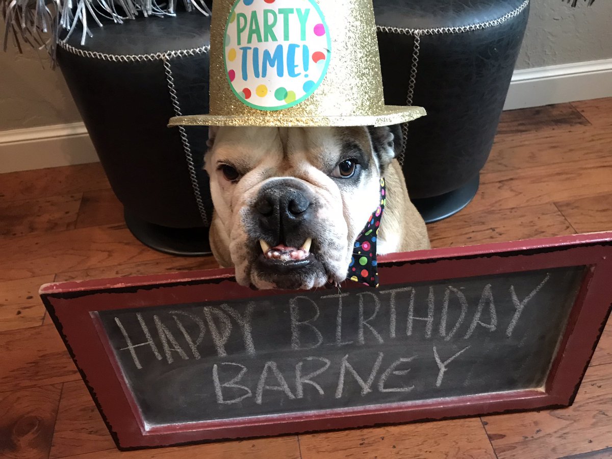 Baker (@lil_fen) on Twitter photo Happy 5th Birthday Barney <a href="/barney_bulldog/">Barney the Bulldog</a>
๐ฅณ๐ฅณ๐ฅณ๐ฅณ๐๐๐๐๐๐๐๐ Happy 5th Birthday Barney <a href="/barney_bulldog/">Barney the Bulldog</a>
๐ฅณ๐ฅณ๐ฅณ๐ฅณ๐๐๐๐๐๐๐๐