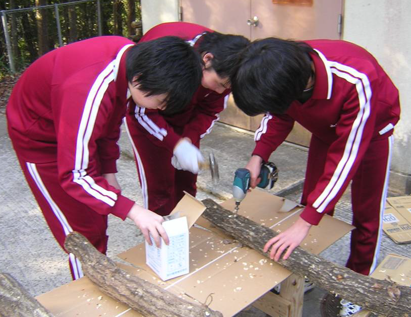 あずや(旧名:中学1X年生) (@eDBgSCLwhXpkYTy) / Posts / X