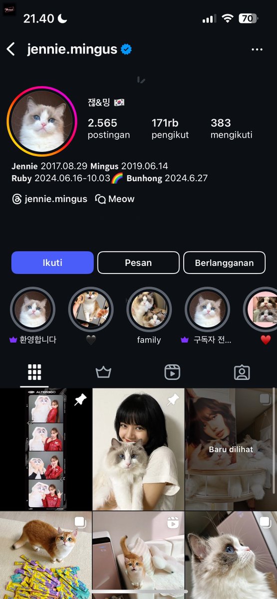 blinks! ini kucingnya siapa yah guyss sender pengen tahuu😭