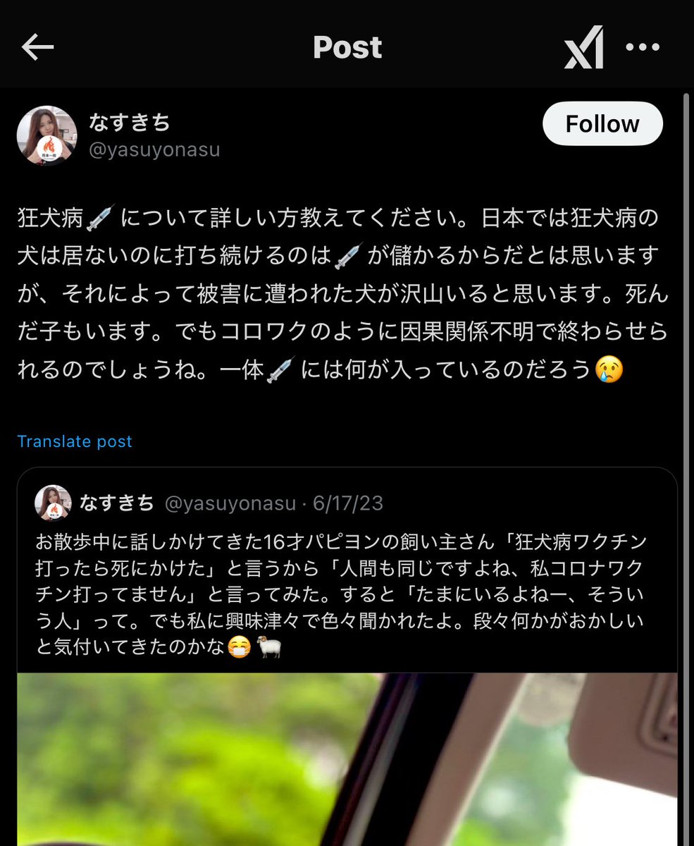 ARRsamadesukilo's tweet photo. 案の定ブロックされてて草って思ってたらこの女、もしかして狂犬病予防法ガン無視して狂犬病ワクチン打ってない可能性ない❓
どうにか子犬達守ってあげて欲しい

@yasuyonasu https://t.co/bSAbf0Hz7W