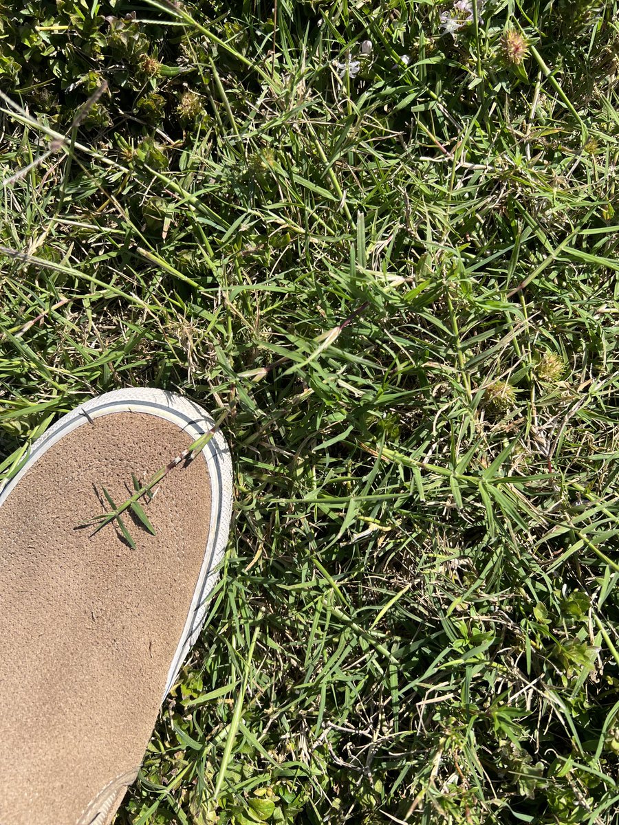 Steven Kammerer, PhD tweet media