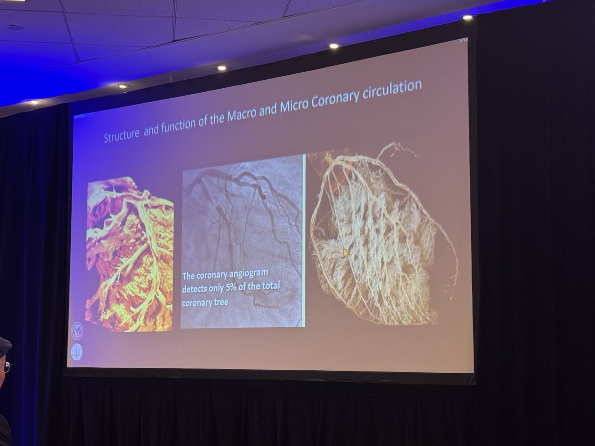 Farshad Forouzandeh (@farshadforouz) on Twitter photo Great talk on microvascular disease by <a href="/MortonKern/">Morton J Kern</a> moderated by <a href="/habib_samady/">Habib Samady</a> <a href="/CRT_meeting/">CRT Meeting</a> 2025 in DC Great talk on microvascular disease by <a href="/MortonKern/">Morton J Kern</a> moderated by <a href="/habib_samady/">Habib Samady</a> <a href="/CRT_meeting/">CRT Meeting</a> 2025 in DC