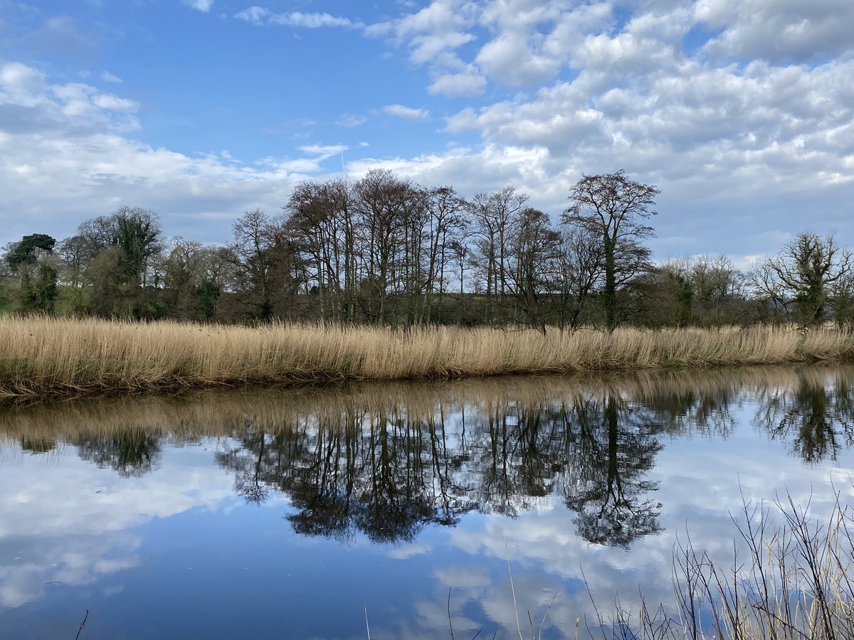 Colm Faulkner tweet media