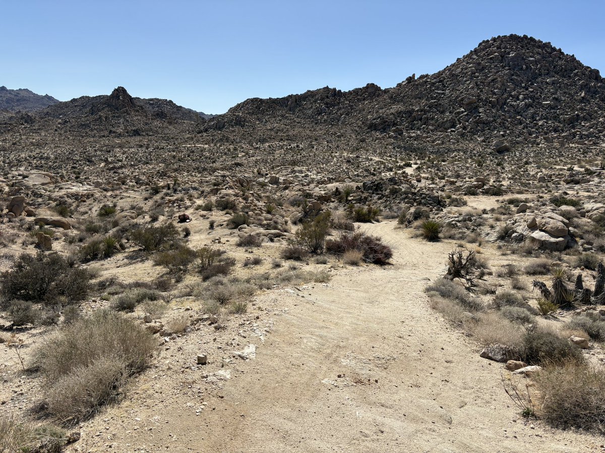 I bit off a little to much this morning for my bike and I and now I have a few cactus needles in my ankle