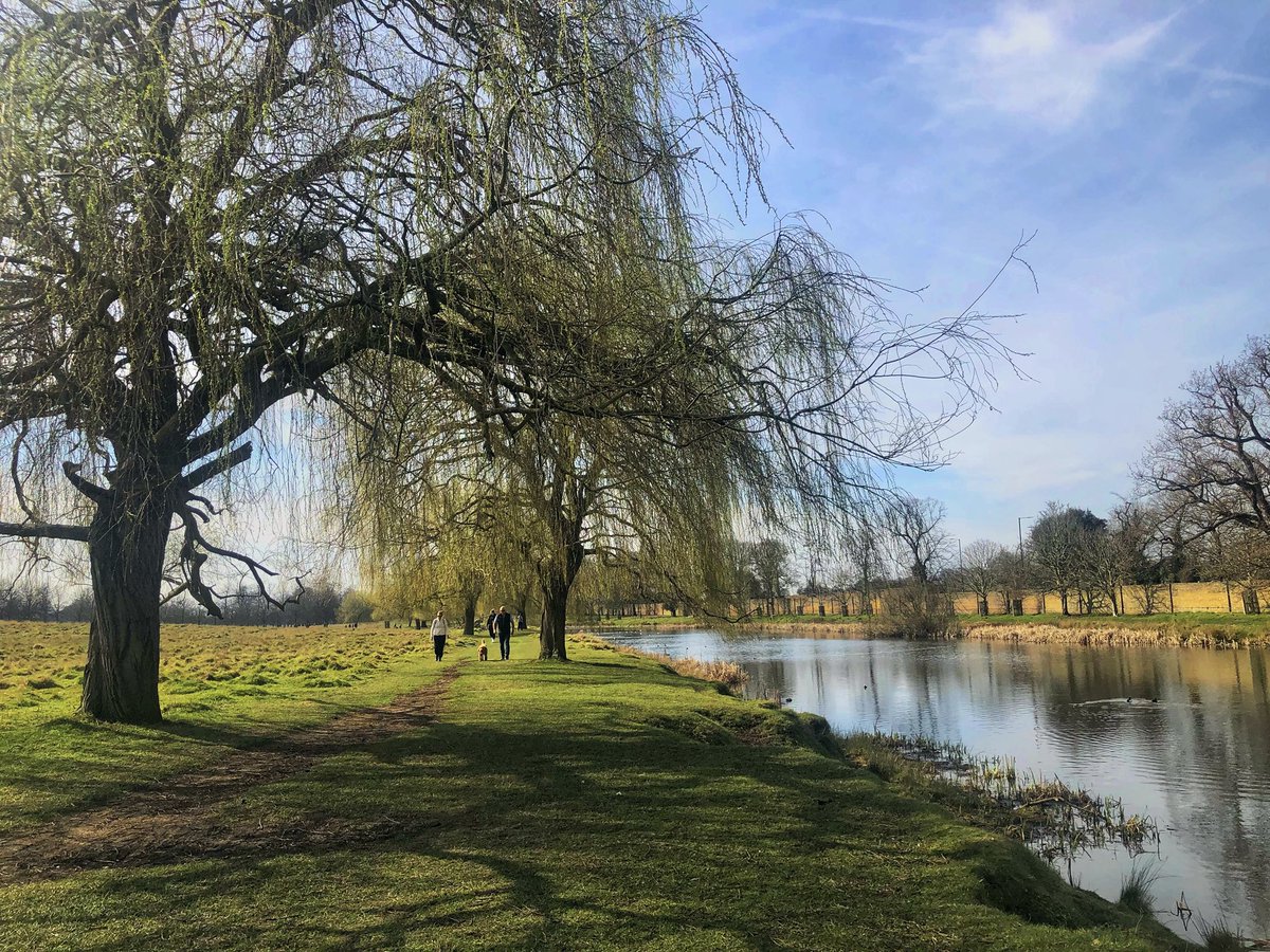 Ruth Wadey tweet media