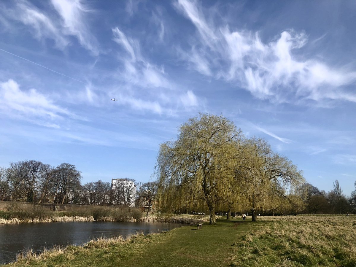 Ruth Wadey tweet media