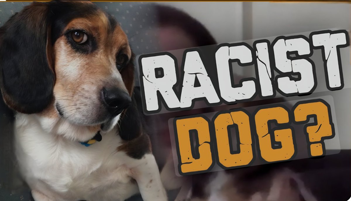 God Save Great Britain tweet media