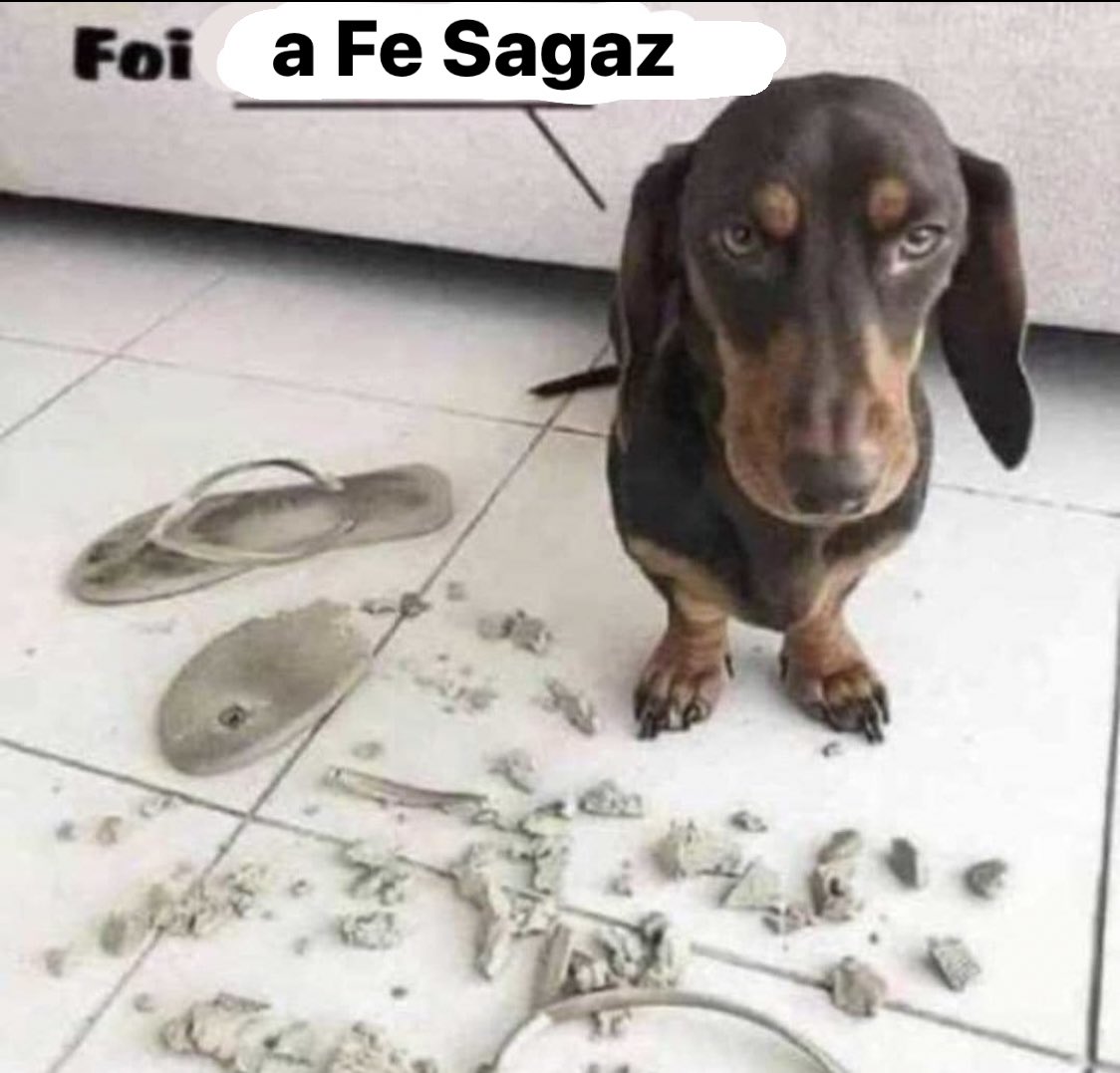 fefe tweet media