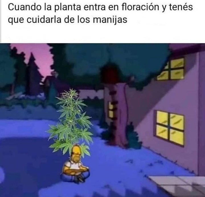 El Paragua Venenoso (@elparaguayo1231) on Twitter photo 