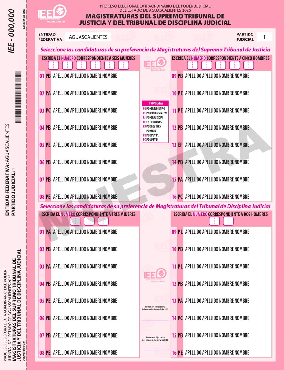 jimenezglzc's tweet photo. ¿Conoces el diseño de boletas que usaremos en Proceso Electoral Extraordinario del Poder Judicial del Estado de Aguascalientes?

Esta es la que usarás para elegir Magistraturas del Supremo Tribunal de Justicia y del Tribunal de Disciplina Judicial.
#ElecciónJudicialAGS2025 https://t.co/Sy8MWqfQeW