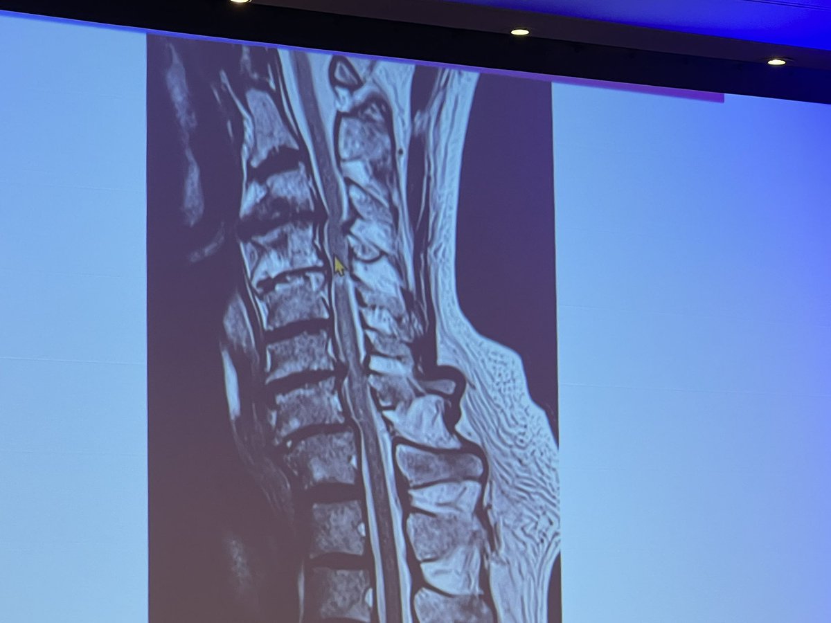 Poonam Velagapudi tweet media