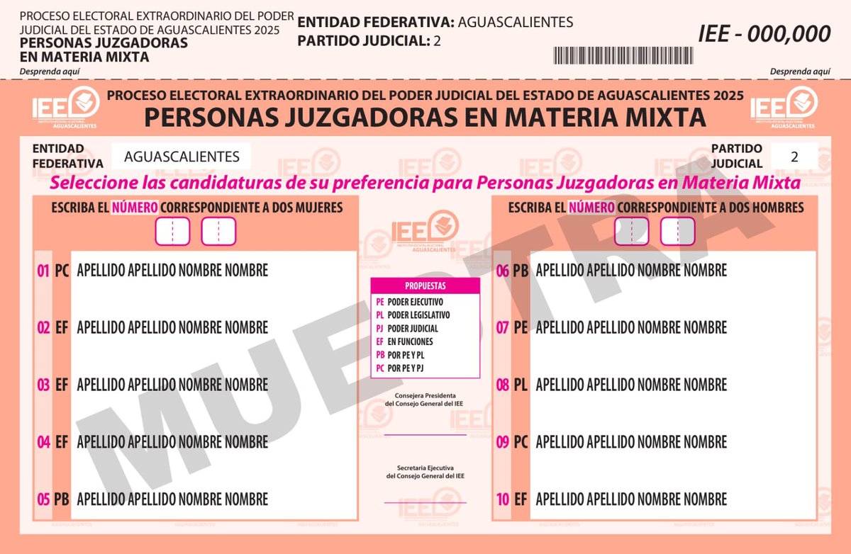 jimenezglzc's tweet photo. ¿Conoces el diseño de boletas que usaremos en Proceso Electoral Extraordinario del Poder Judicial del Estado de Aguascalientes?

Esta es la que usarás para elegir Personas Juzgadoras en Materia Mixta.
#ElecciónJudicialAGS2025 https://t.co/sB9WnpZ828