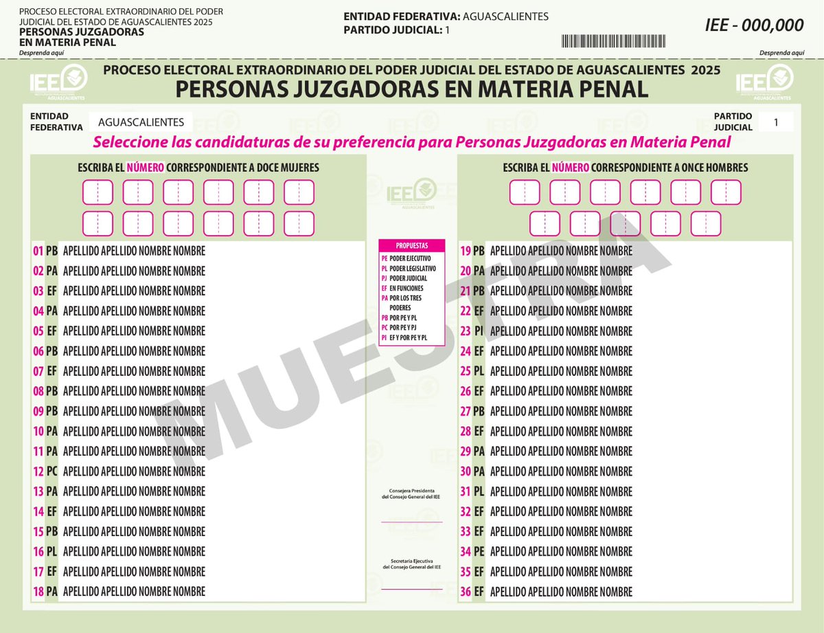 jimenezglzc's tweet photo. ¿Conoces el diseño de boletas que usaremos en Proceso Electoral Extraordinario del Poder Judicial del Estado de Aguascalientes?

Esta es la que usarás para elegir Personas Juzgadoras en Materia Penal.
#ElecciónJudicialAGS2025 https://t.co/BSr559wyRg