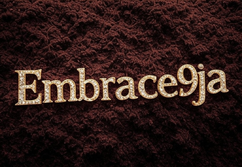 Embrace9ja 🇳🇬🖤 tweet media
