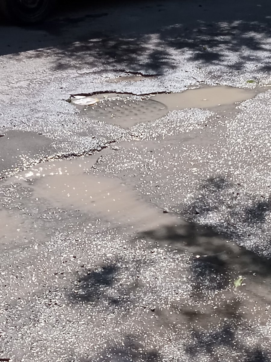 mcv210668's tweet photo. @AguasdeSaltillo @manolojim drenaje central tapado, fuga de aguas negras, cucarachas y ratas q salen de drenajes en banqueta, urgente, manden cuadrilla y quién corresponda, fumiguen es mucho animal el q sale, calle 20 #444, entre 14 de febrero y San Valentín, col amistad https://t.co/DYhws2oaPD