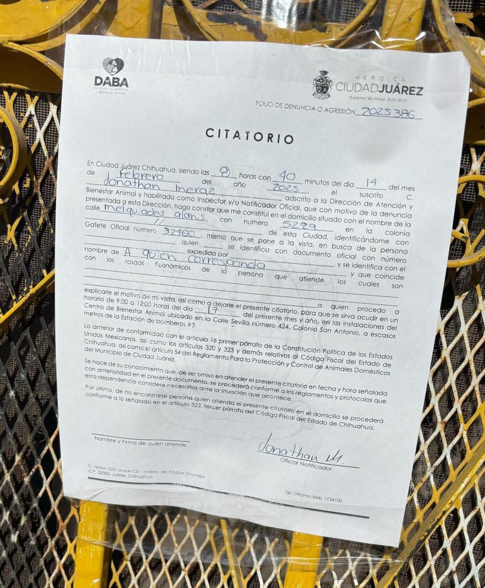 SalvemosABenito's tweet photo. POR FAVOR MÁXIMA DIFUSIÓN 🙏

Así trabaja el Alcalde de García, Nuevo León, @ManuelGuerraCav, amigo de @arturooislas, mientras que en Cd. Juarez la dependencia encargada se dedica a dejar papelitos pegados en las tapias / casas abandonadas a pesar de que los animales se encuentran en riesgo de morir, solo por no trabajar.

Ojalá puedan hacer algo al respecto @CruzPerzCuellar @MaruCampos_G @GobiernoEdoChih