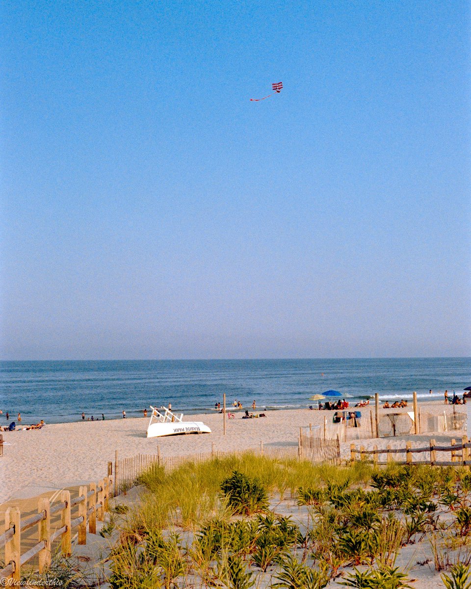 viewfinderthis's tweet image. The Camera &amp;amp; The Photos