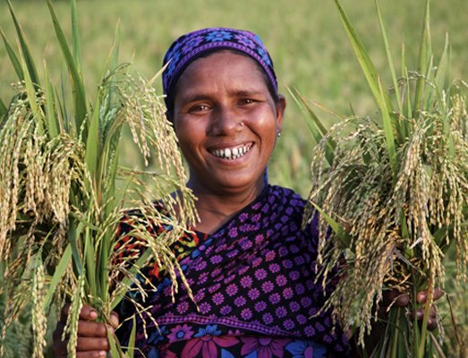 HarvestPlus tweet media
