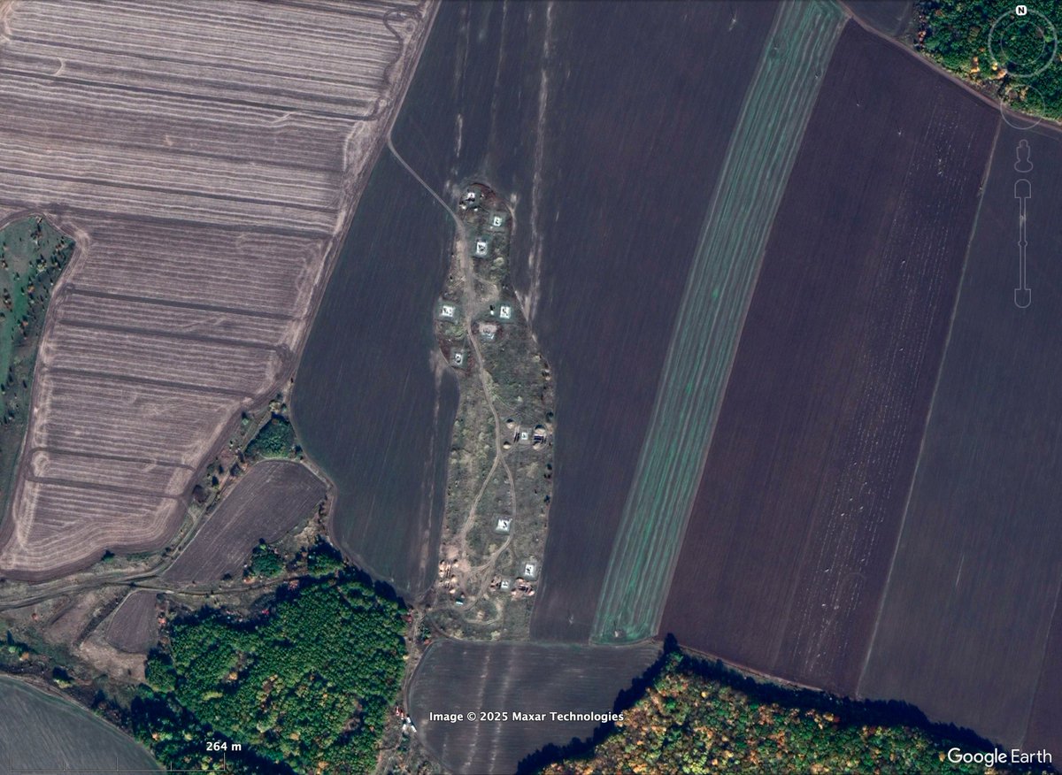 (((Tendar))) tweet media