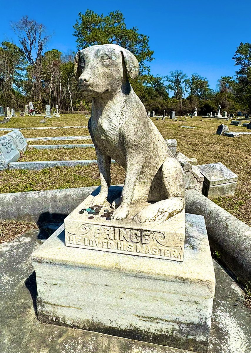 I met Prince last weekend at Catholic Cemetery in Savannah, Ga. His master was Patrick Hagan, an Irish stone carver who died in 1912 at age 68.

I’ll show the rest of Patrick’s large plot later (I believe his friend John Walz created it) but Prince deserves the spotlight today.