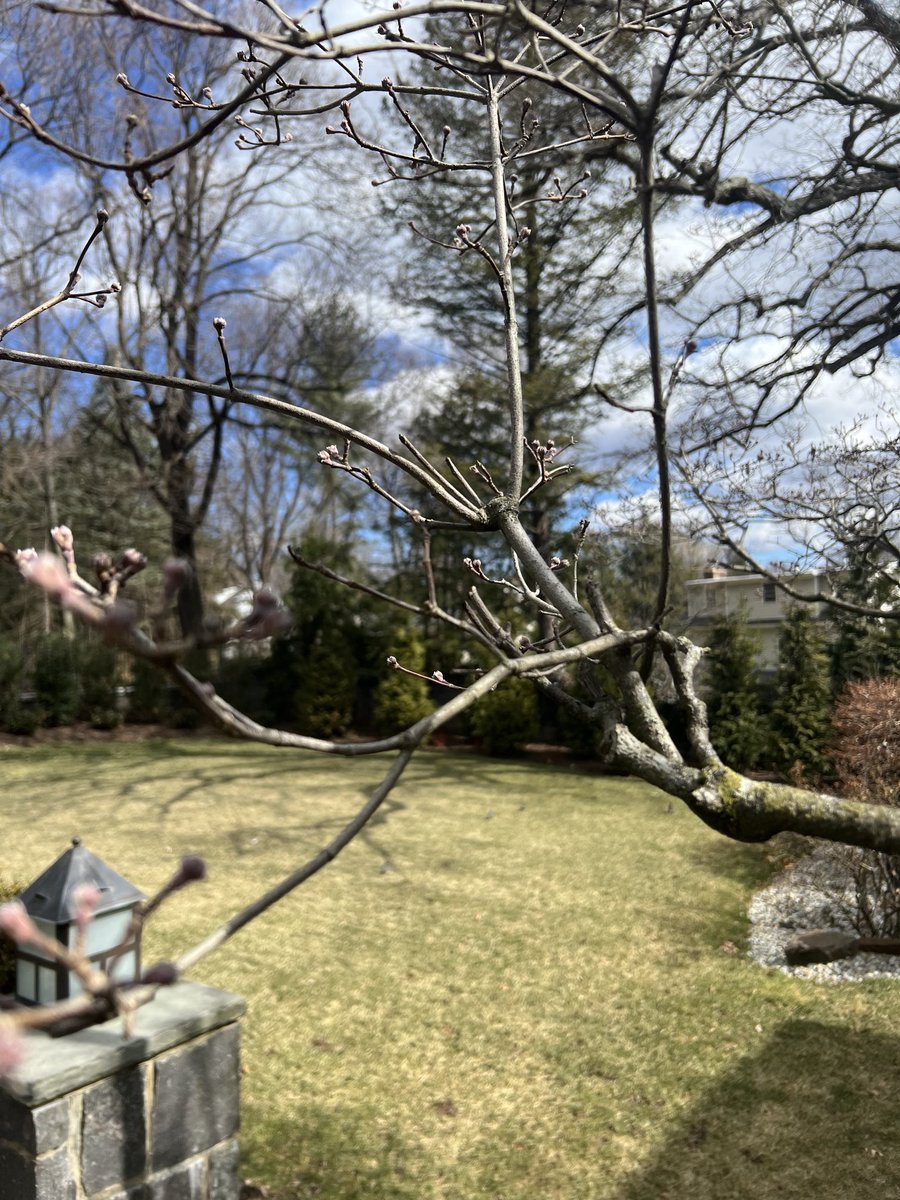 Jim Cramer tweet media