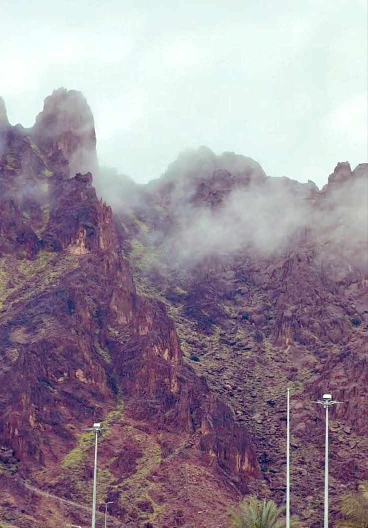 وترى السّحاب على الجبال كأنّهُ
يـدنو إلى دُهــمِ النـياقِ الكُـوْمِ
#حائل