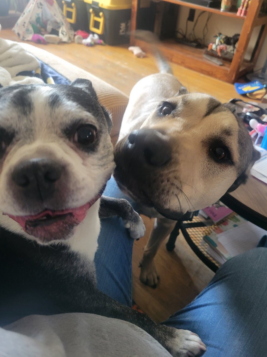 Hims here send haaaaaalp 🤣🤣🤣