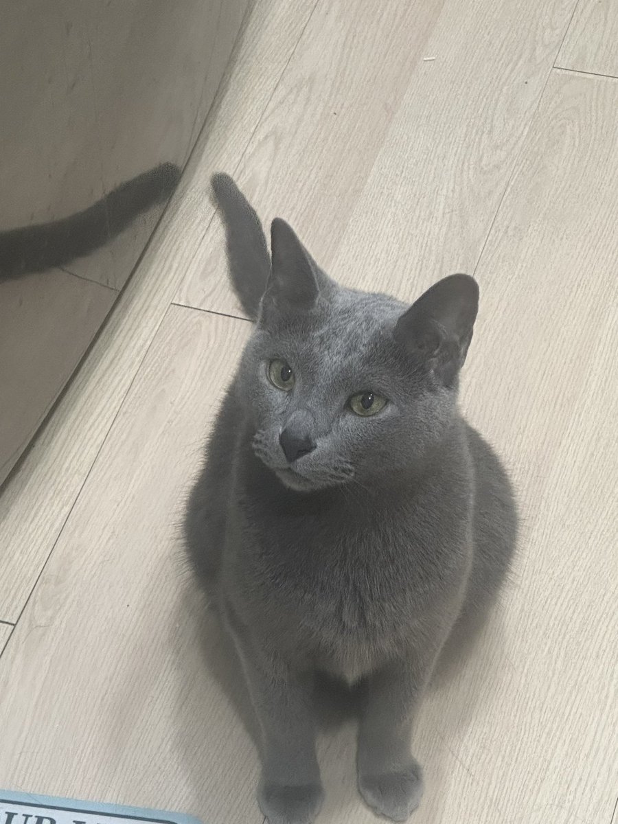 귀여운 왕자가 3월8일 첫째를 결국 첫째 미인이를 따라갔어요.

조금있다 집에서 다른 모습으로 보자 .