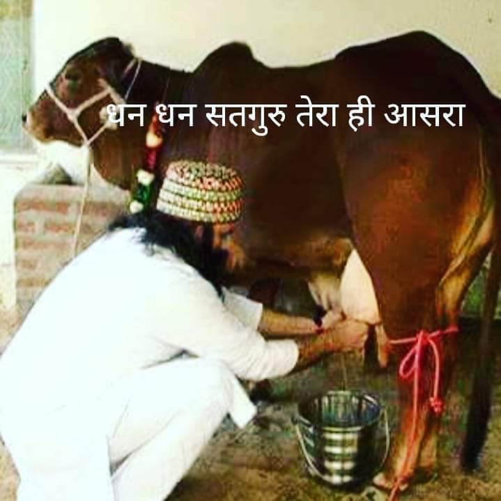 RinkiInsan39082's tweet image. Find Peace, Overcome Depression!
Saint Dr. MSG shares the #KeyToFightDepression:
Meditation: the powerful tool to kill depression
Regular practice: the key to a stress-free life
Inner peace: the result of a calm mind
Let&apos;s #BeatDepressionbyMeditation!
#OvercomeDepression